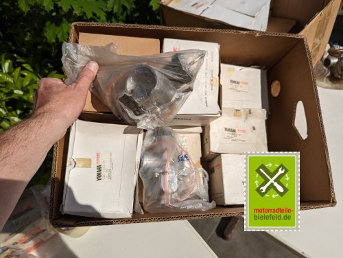 PXL_20240517_150410776